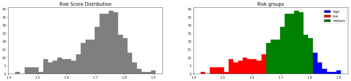 PySurvival - Credit Risk Tutorial - Neural MTLR - Risk groups